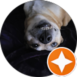 Profile photo of Jerry Kirkpatrick