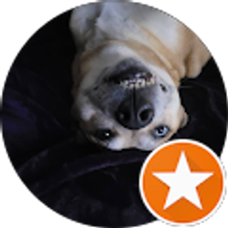 Profile photo of Jerry Kirkpatrick