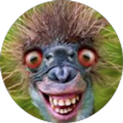 Profile photo of Fallon Price