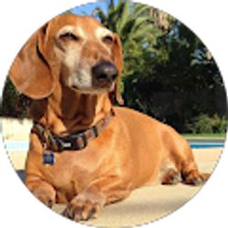 Profile photo of Lisa G