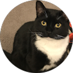 Profile photo of Sal Bello