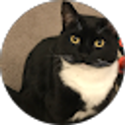 Profile photo of Sal Bello