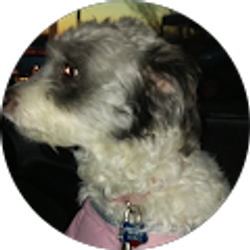 Profile photo of Mary O'Neill