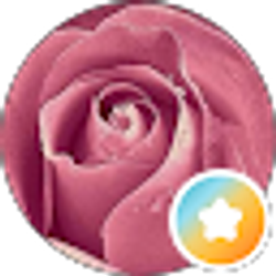 Profile photo of Jeanette