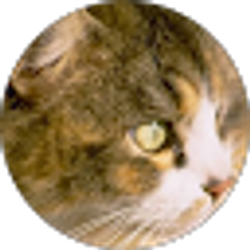 Profile photo of Dorothy Roustic