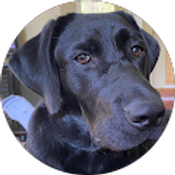 Profile photo of Russ Spillers