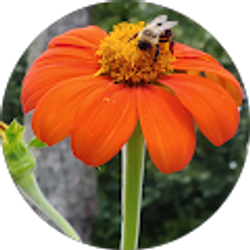 Profile photo of W M