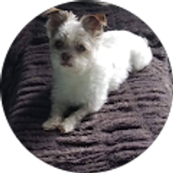 Profile photo of Joyce Jedd