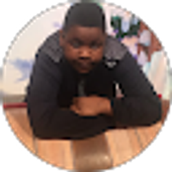 Profile photo of Nnaemeka Opara