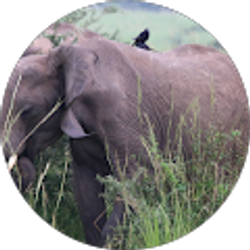 Profile photo of Daniel Fry