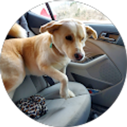 Profile photo of Wendy O'Dell