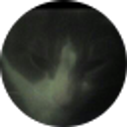Profile photo of James Meagher