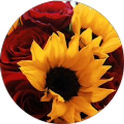 Profile photo of Kathryn Geheb