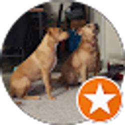 Profile photo of S Boggs