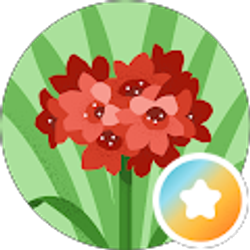 Profile photo of Shelley Rowland