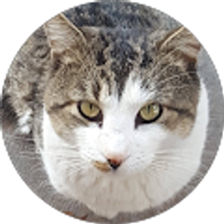 Profile photo of Gonzalo Muneton