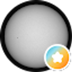 Profile photo of Nick L