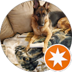 Profile photo of ANGEL Iodice