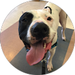 Profile photo of Jenny Morena