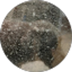 Profile photo of Ann Skinner