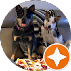 Profile photo of Ray Jackson