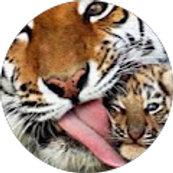 Profile photo of Samantha Jarvey