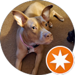 Profile photo of Davy J's