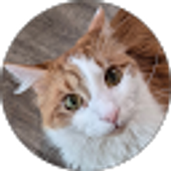 Profile photo of Amanda Johnson