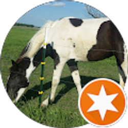 Profile photo of Cristina