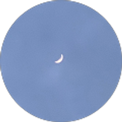 Profile photo of jay bae