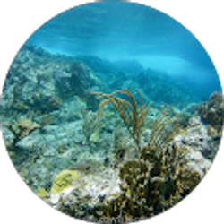 Profile photo of Nicole Stutts