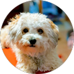 Profile photo of Tracy Browning