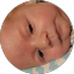 Profile photo of Holly Volk