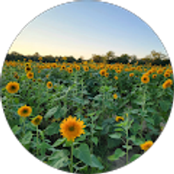 Profile photo of Morgan Pankow