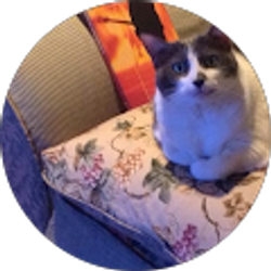 Profile photo of David Rubin