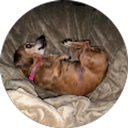 Profile photo of Nik Millan