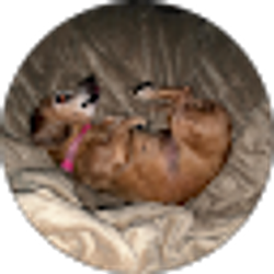 Profile photo of Nik Millan