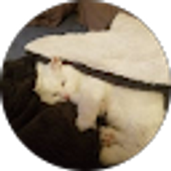 Profile photo of Katie Lynn