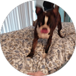 Profile photo of stan bemis