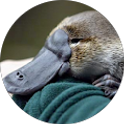 Profile photo of Joe Sobol