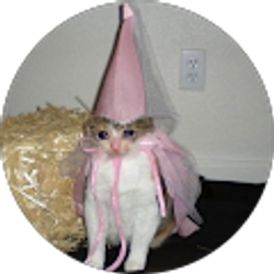 Profile photo of gwenna malone