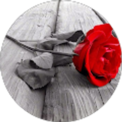 Profile photo of Martha Alvarado