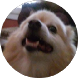 Profile photo of PJ Barbie