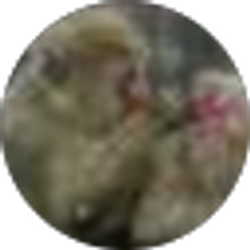 Profile photo of Ramana Murthy