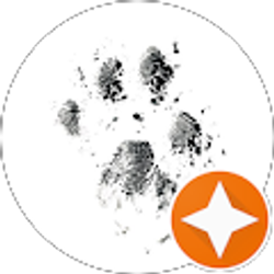 Profile photo of Sreekumar Govindan