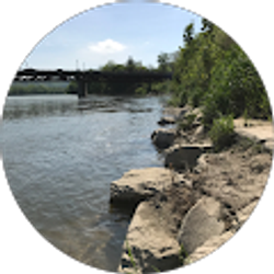 Profile photo of King_Caeser