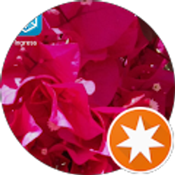 Profile photo of Candy Hucklebee