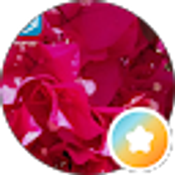 Profile photo of Candy Hucklebee