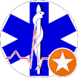 Profile photo of Martin Romo