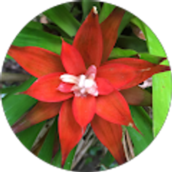 Profile photo of Louise McMinn